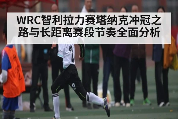 WRC智利拉力赛塔纳克冲冠之路与长距离赛段节奏全面分析