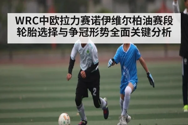 WRC中欧拉力赛诺伊维尔柏油赛段轮胎选择与争冠形势全面关键分析